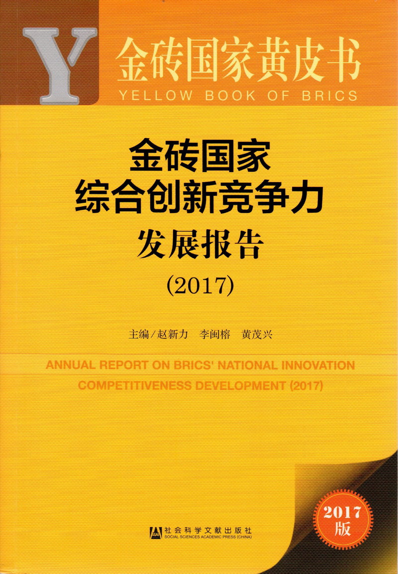 噢噢噢噢快操我逼金砖国家综合创新竞争力发展报告（2017）